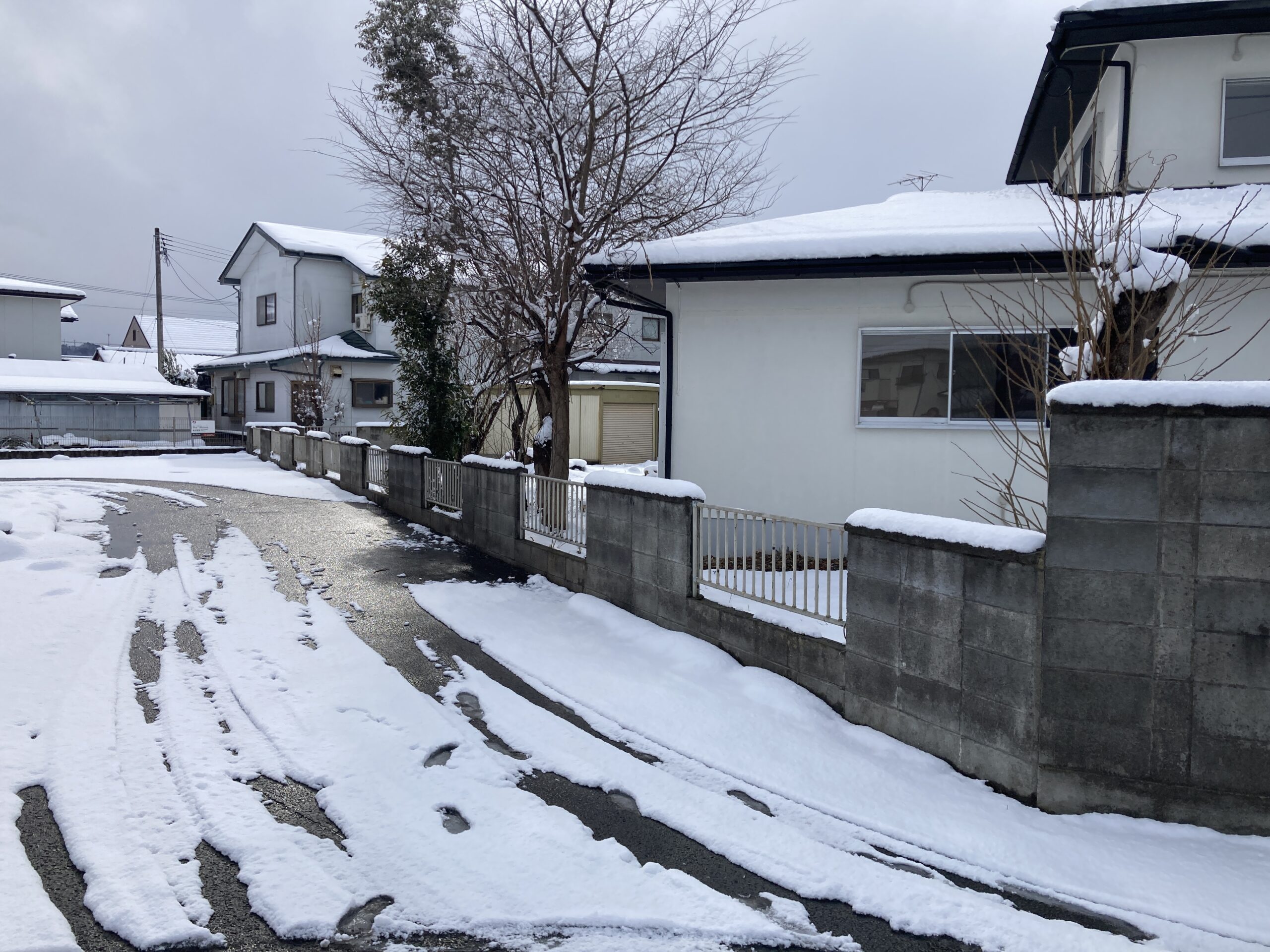 Before画像