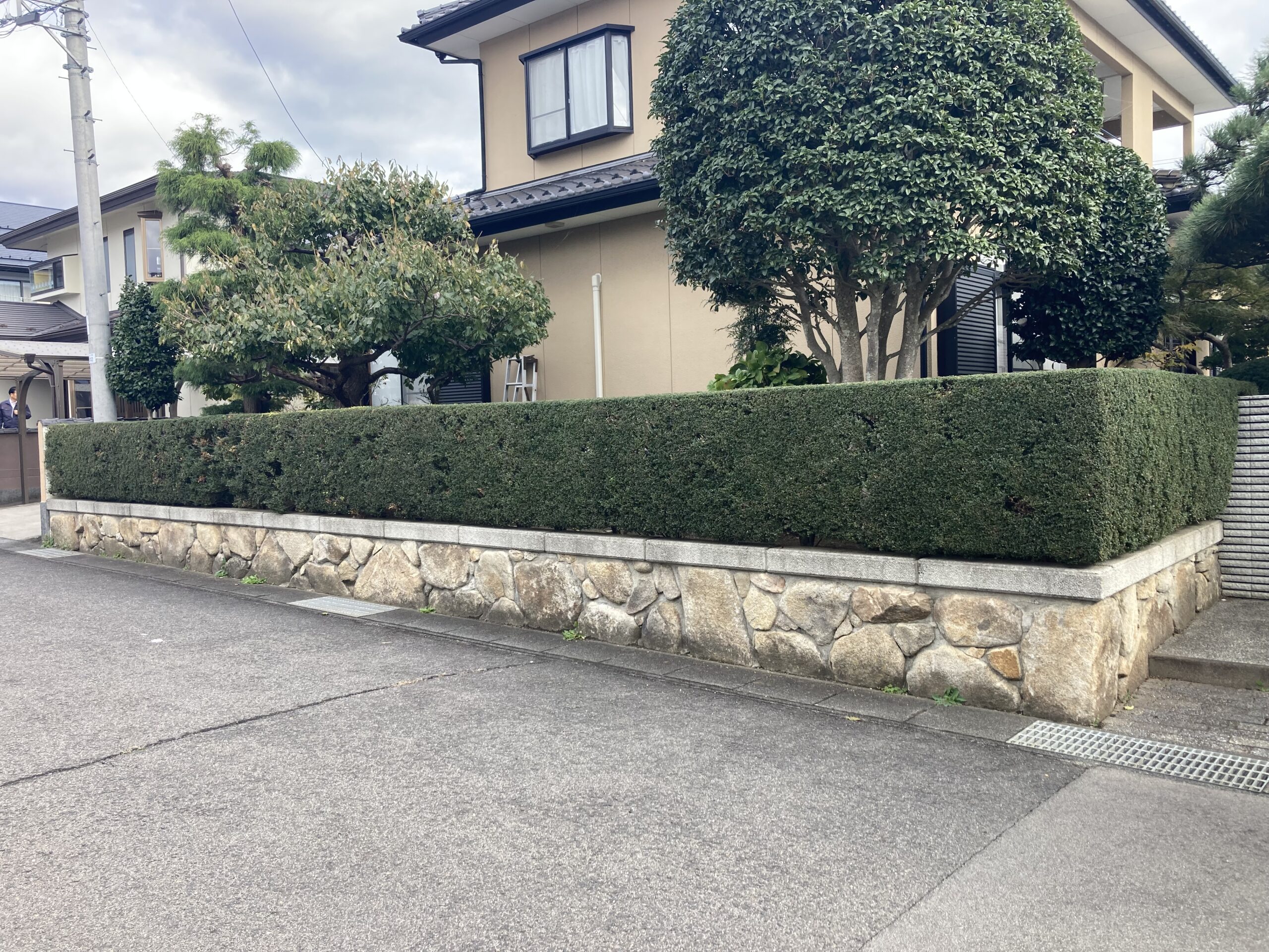 Before画像