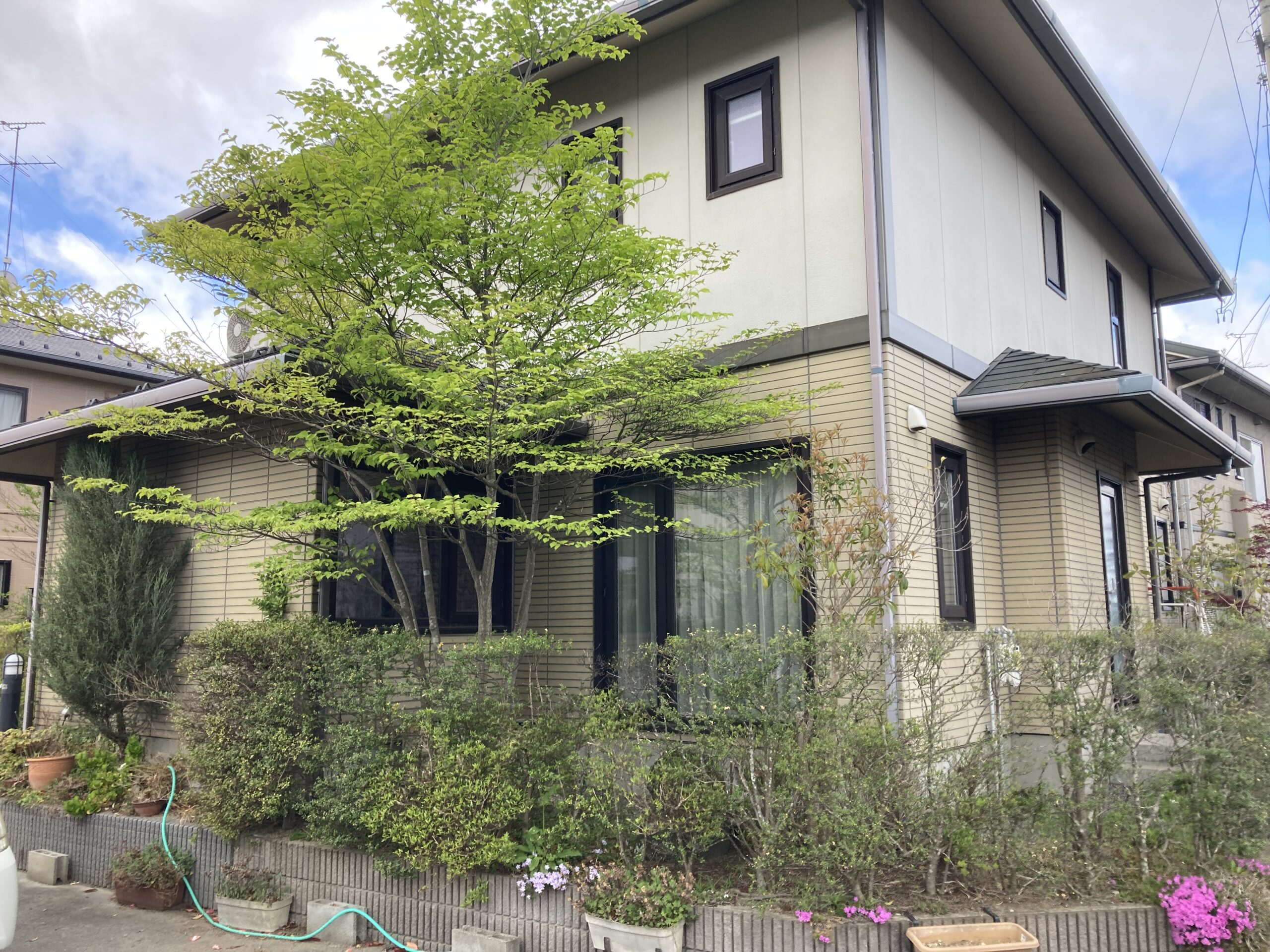 Before画像
