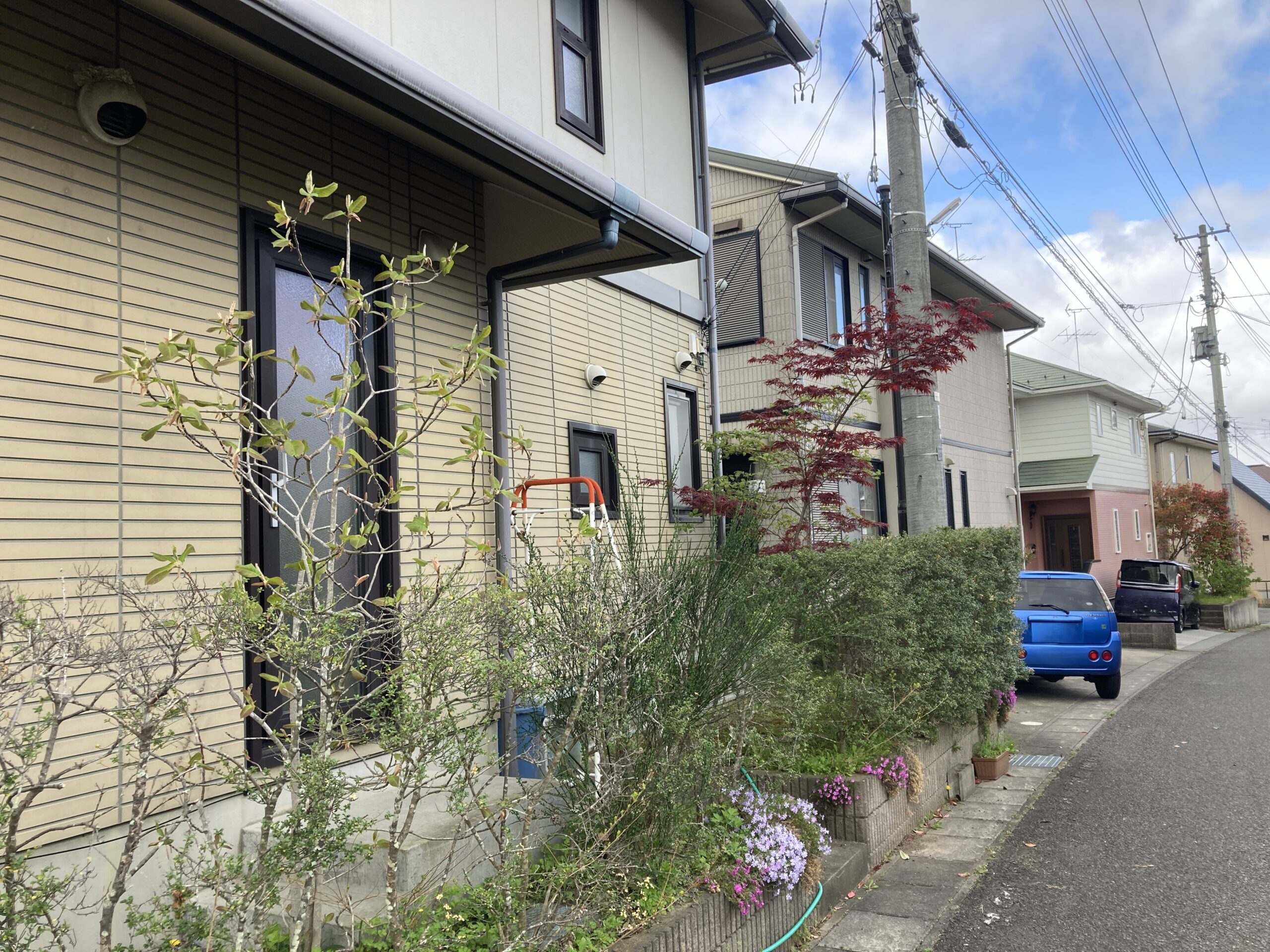Before画像