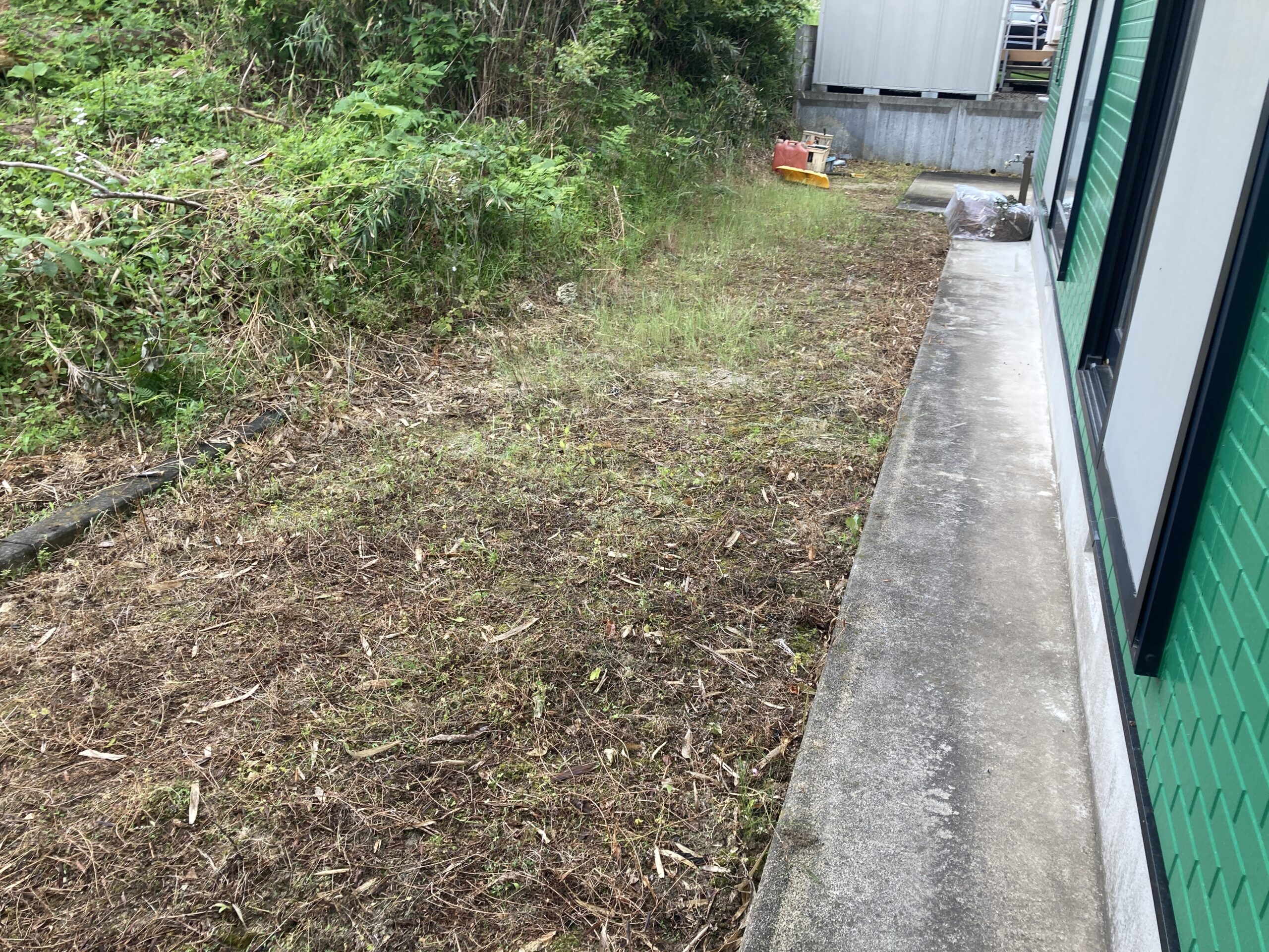 Before画像