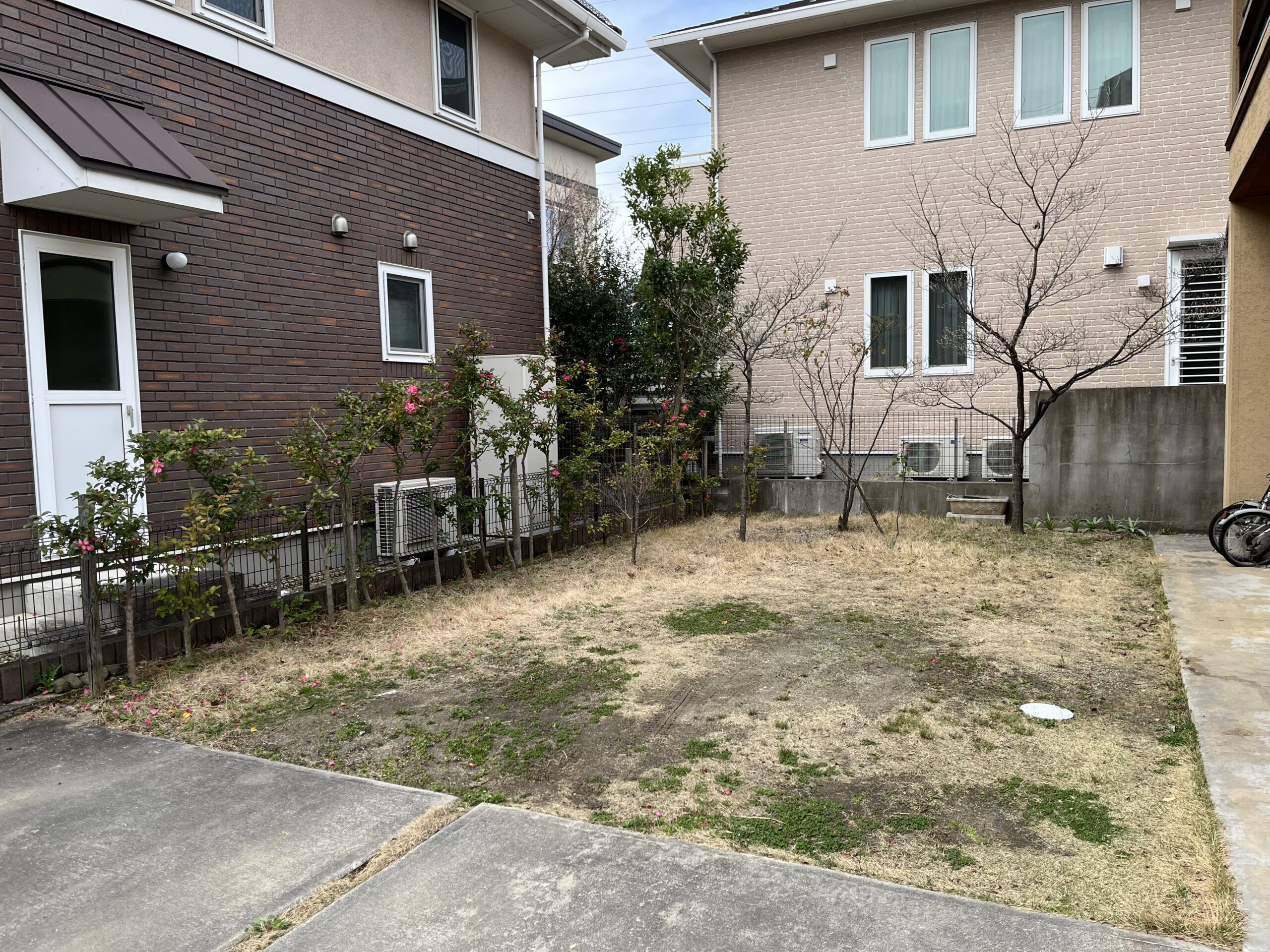Before画像