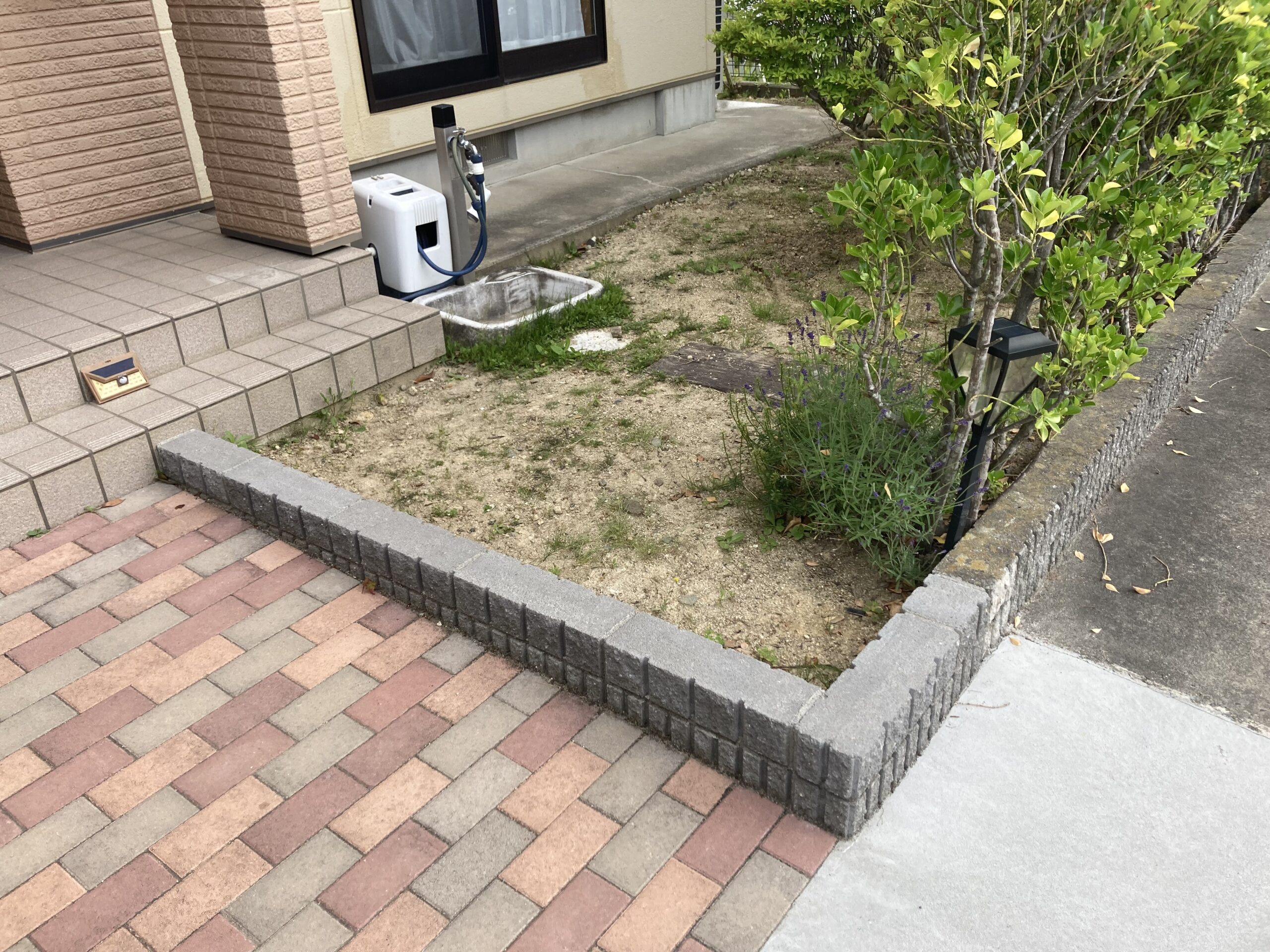 Before画像