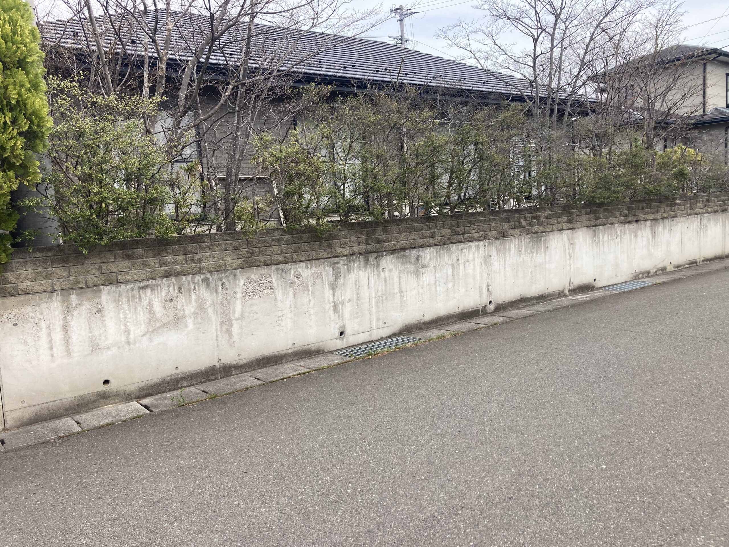 Before画像