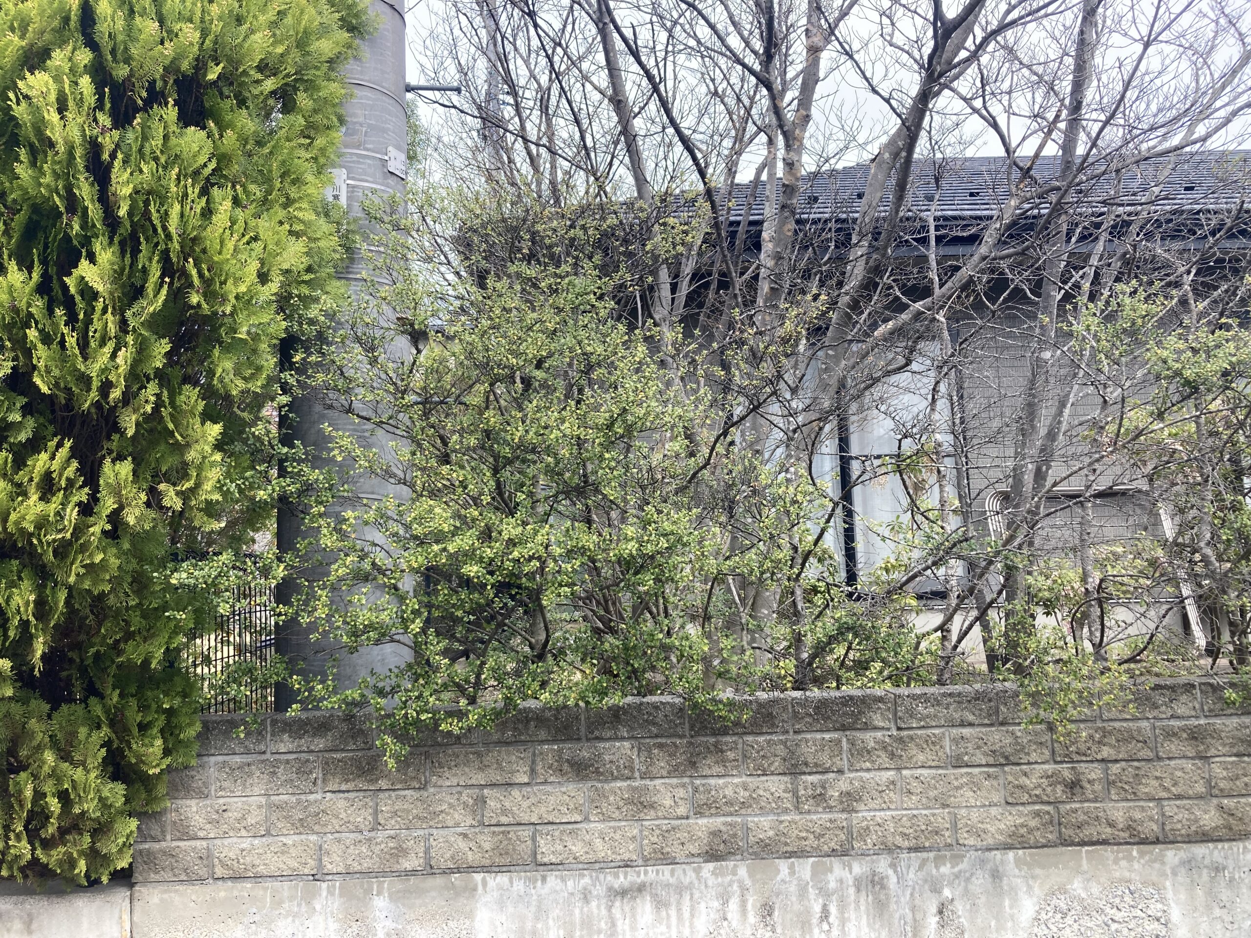 Before画像