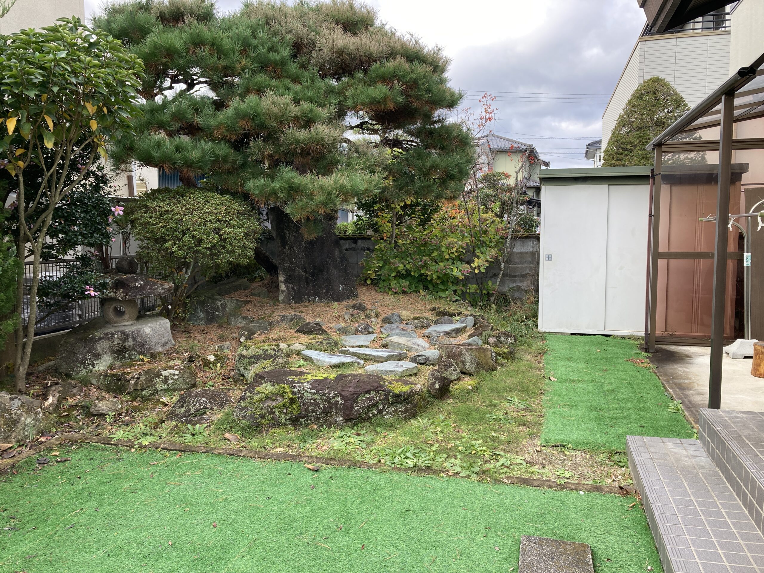 Before画像