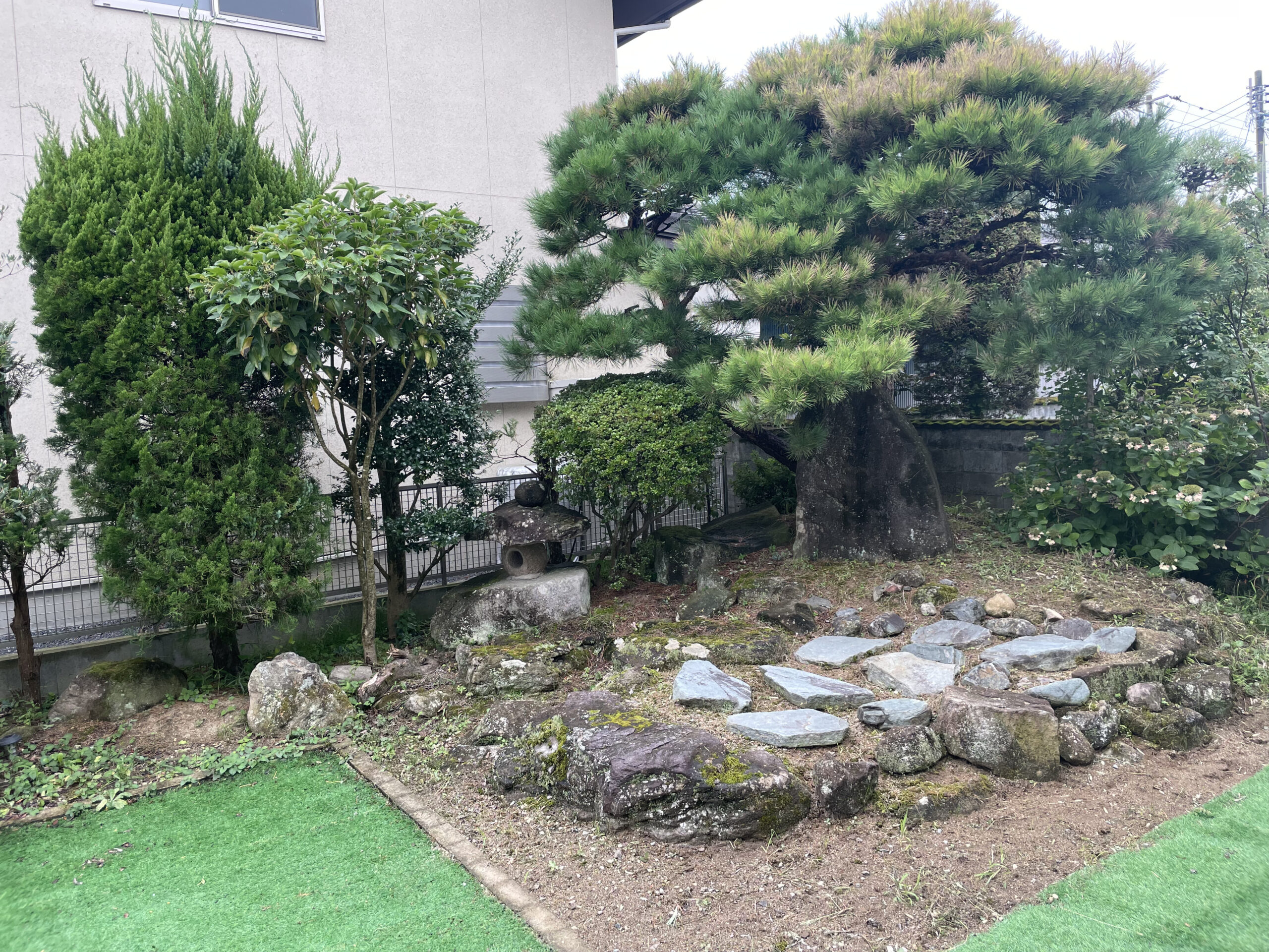 Before画像