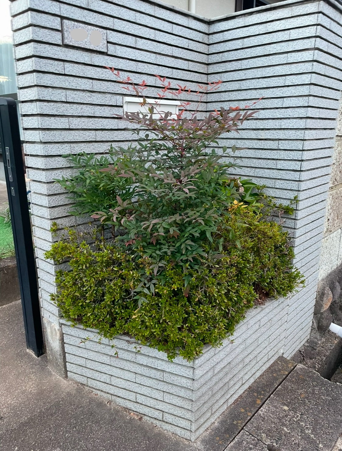 Before画像