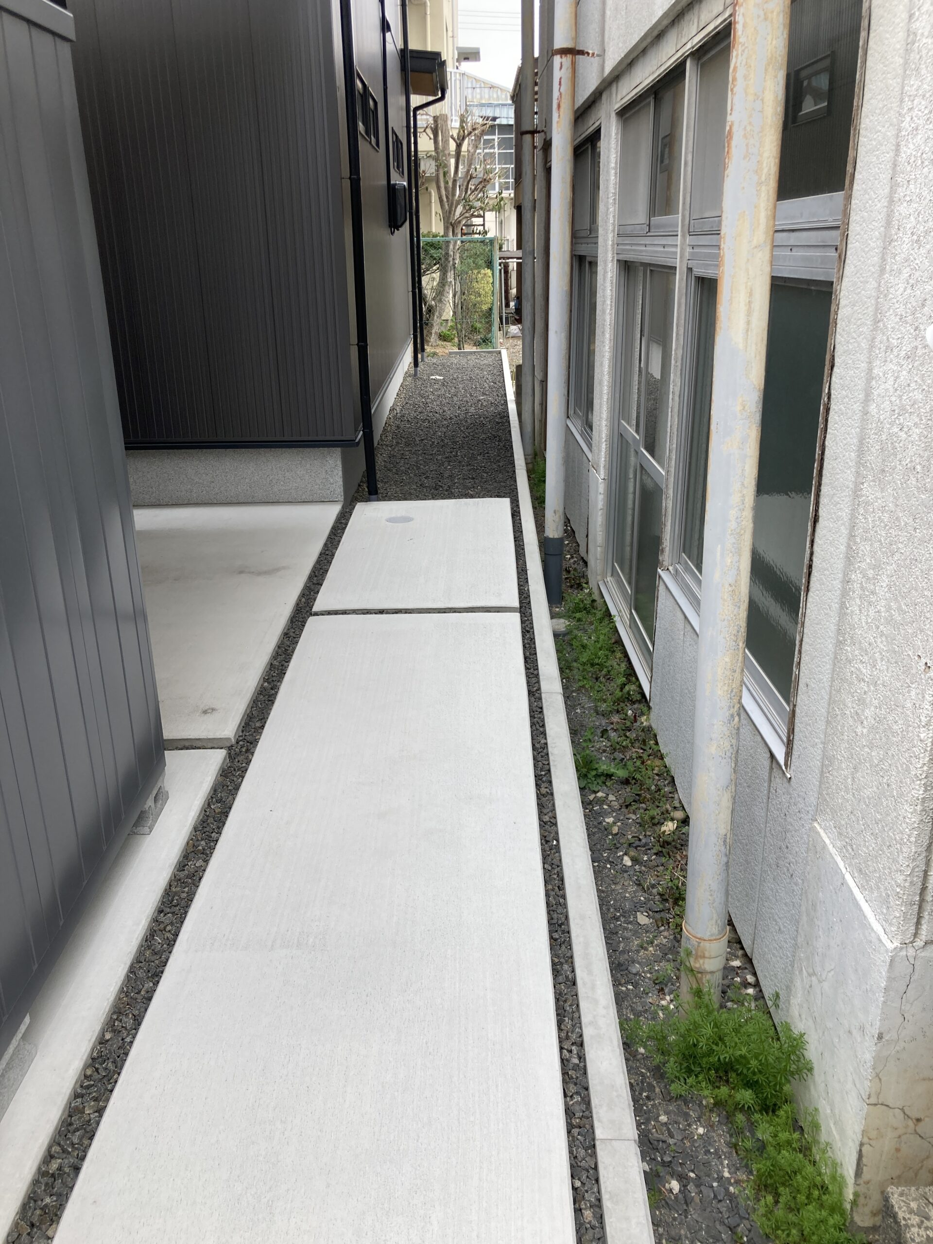 Before画像