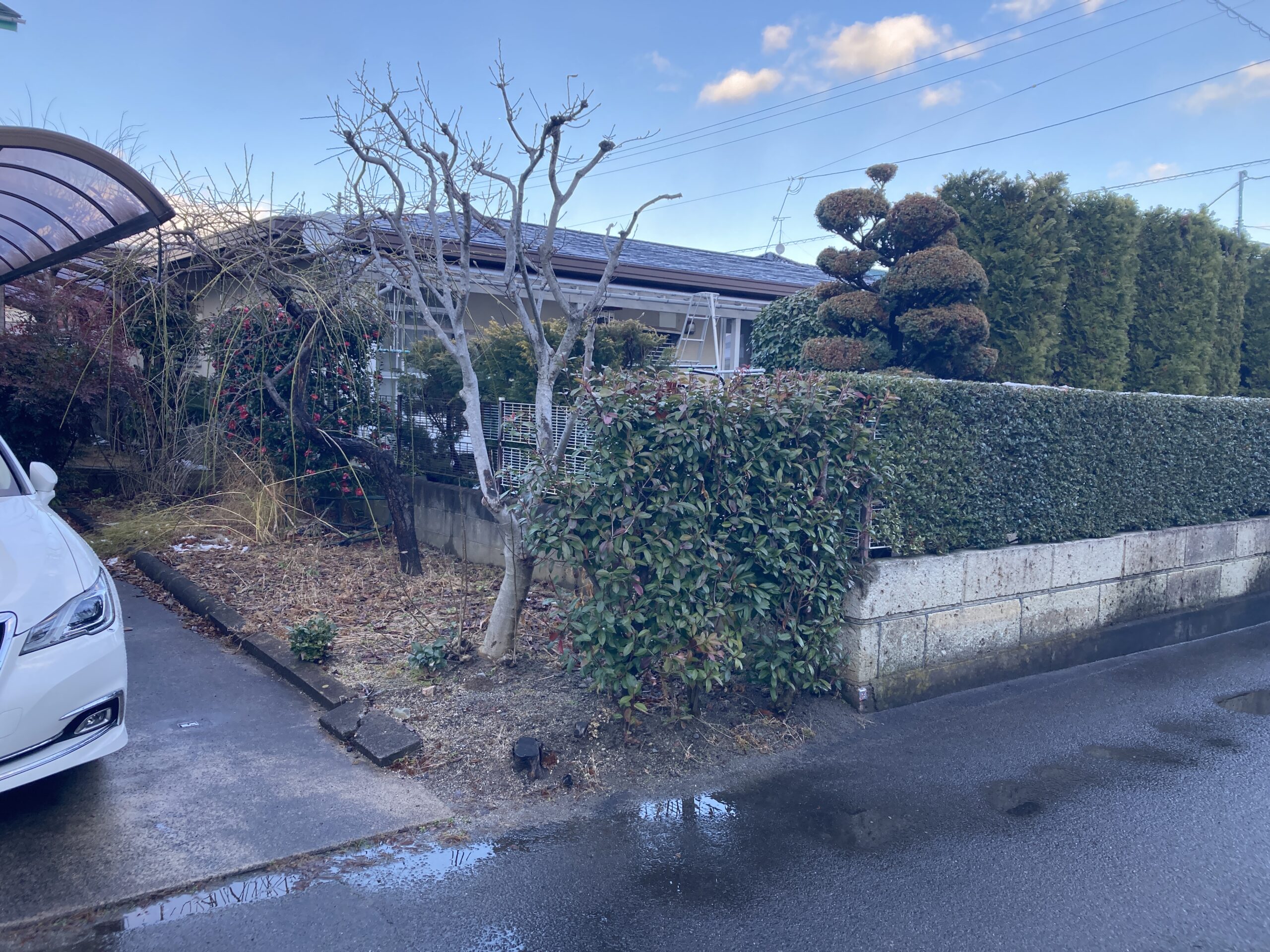Before画像
