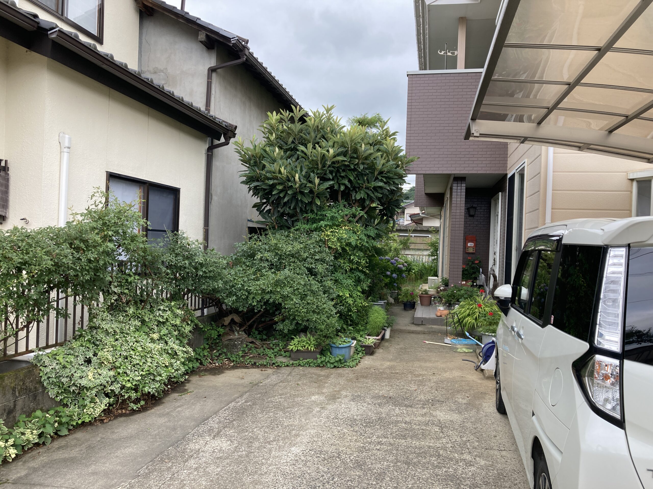 Before画像