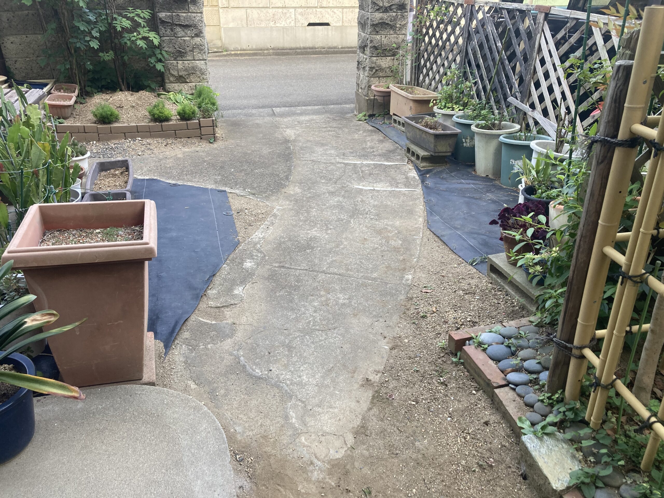 Before画像