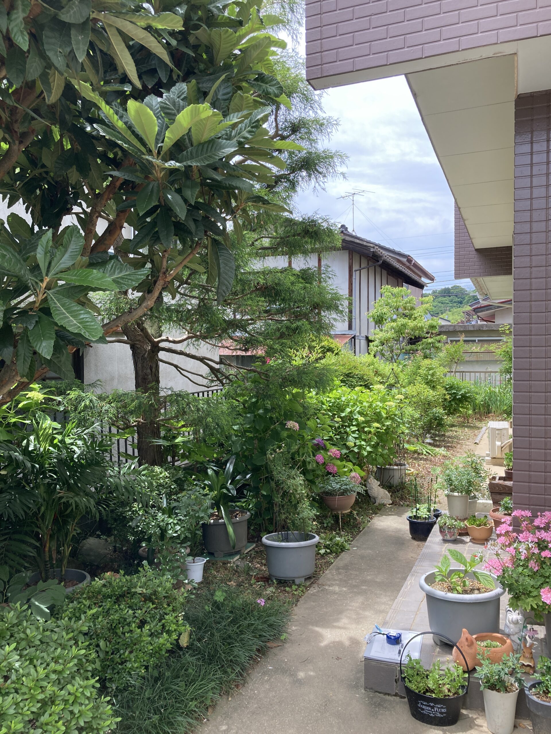 Before画像