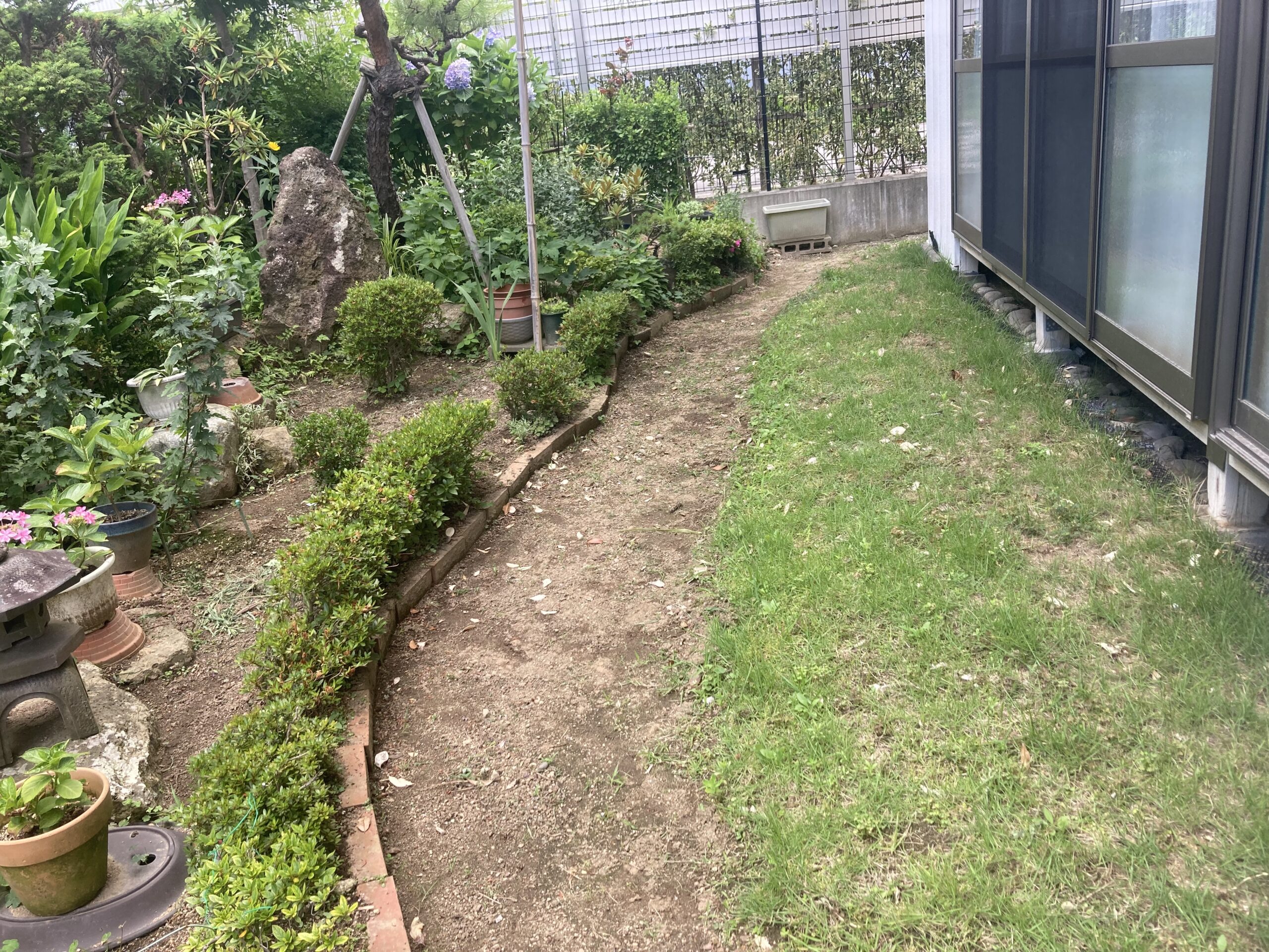 Before画像
