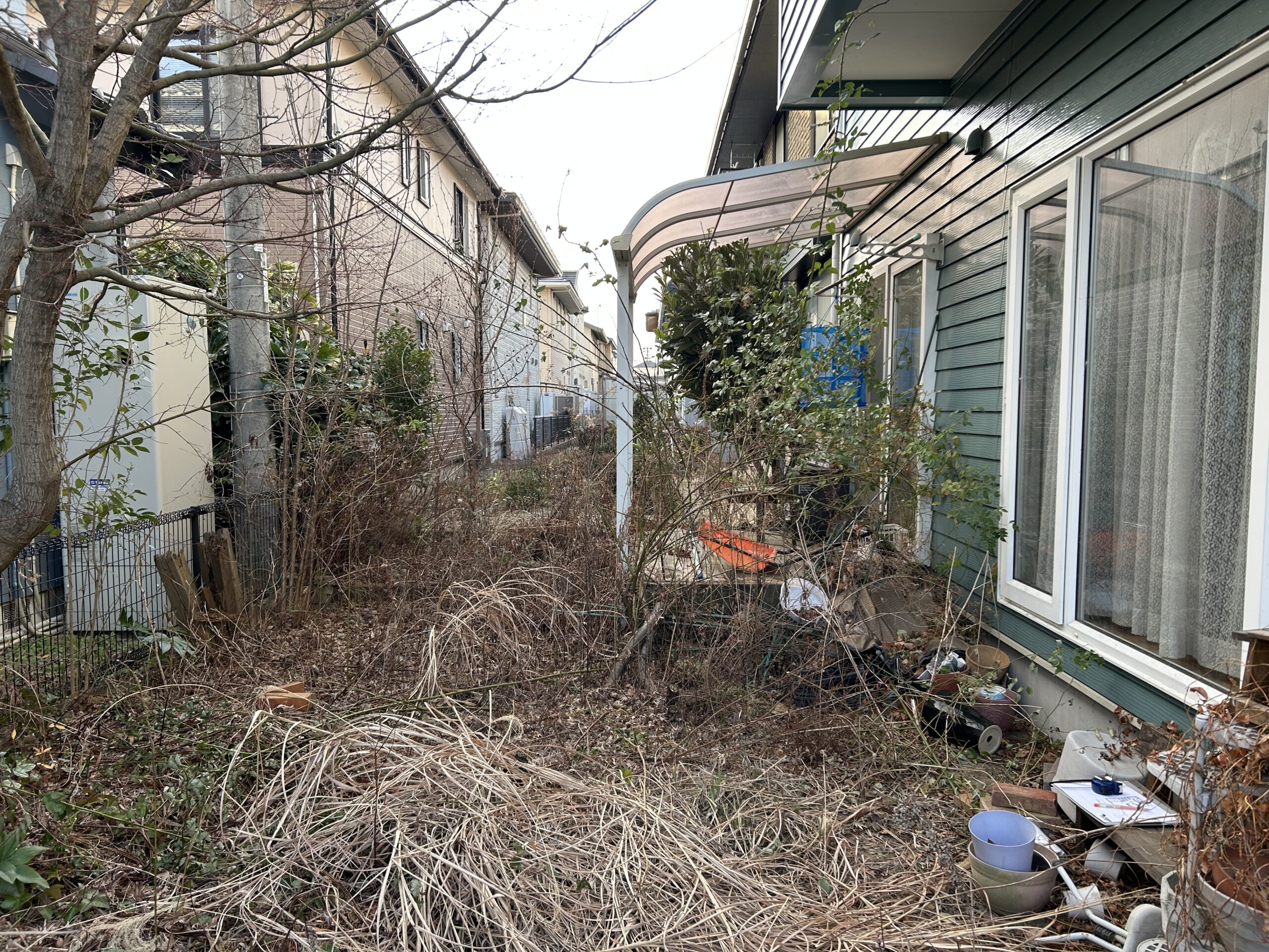 Before画像