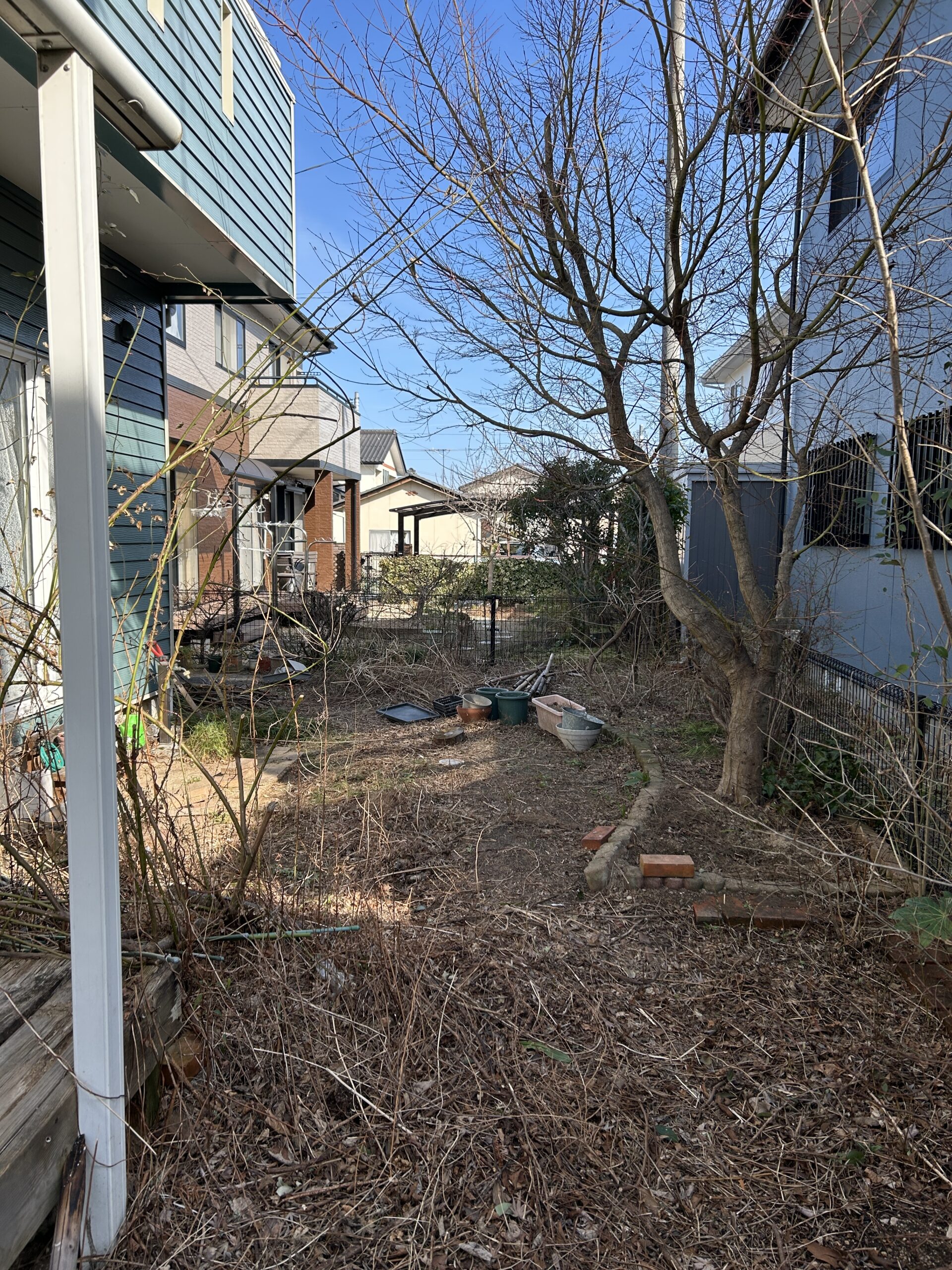 Before画像