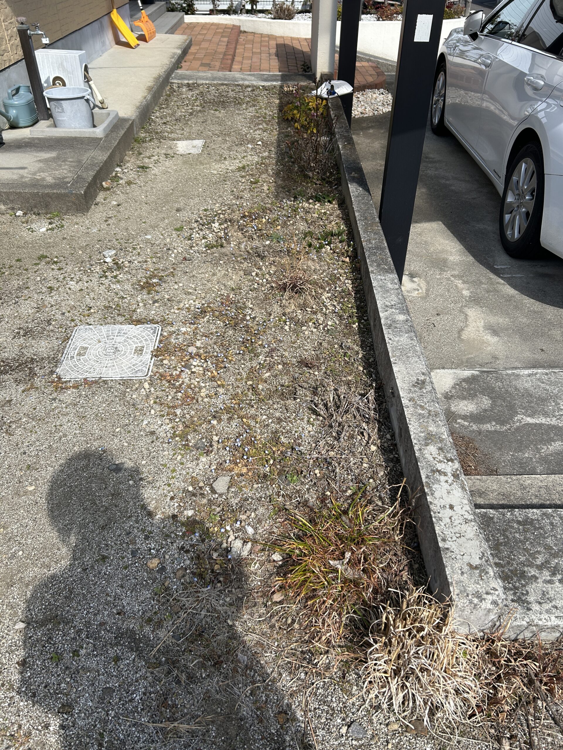 Before画像