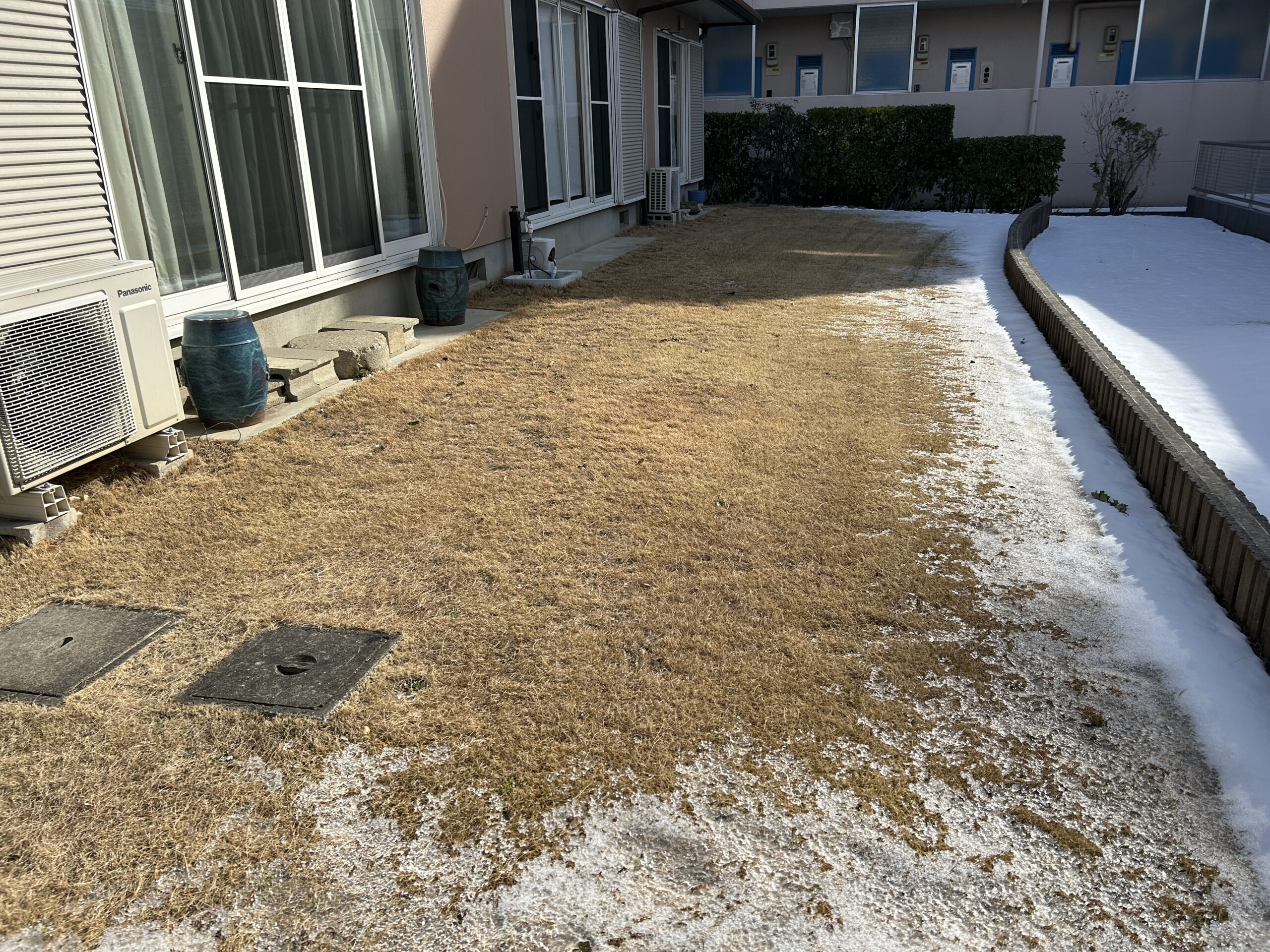Before画像