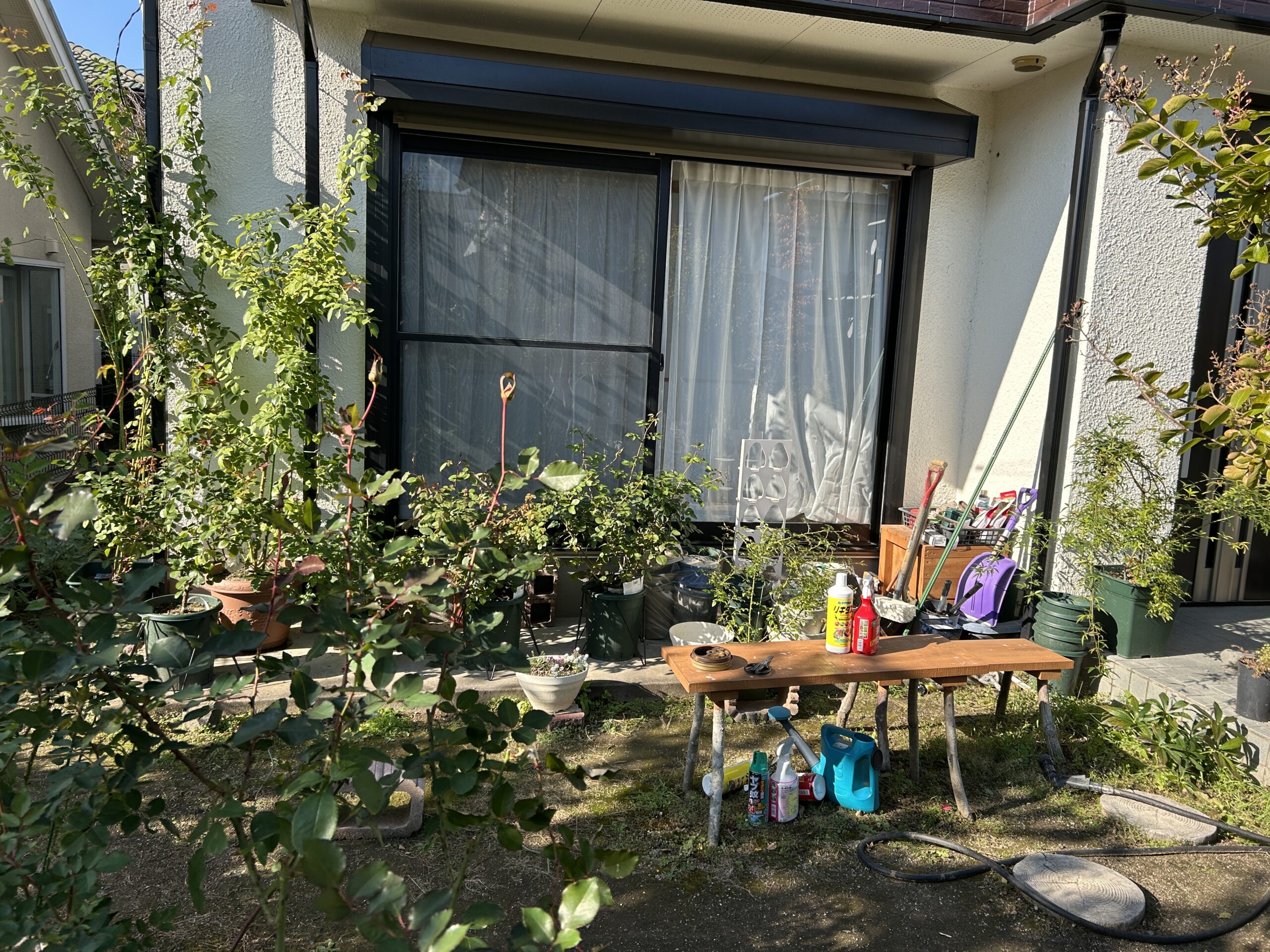 Before画像