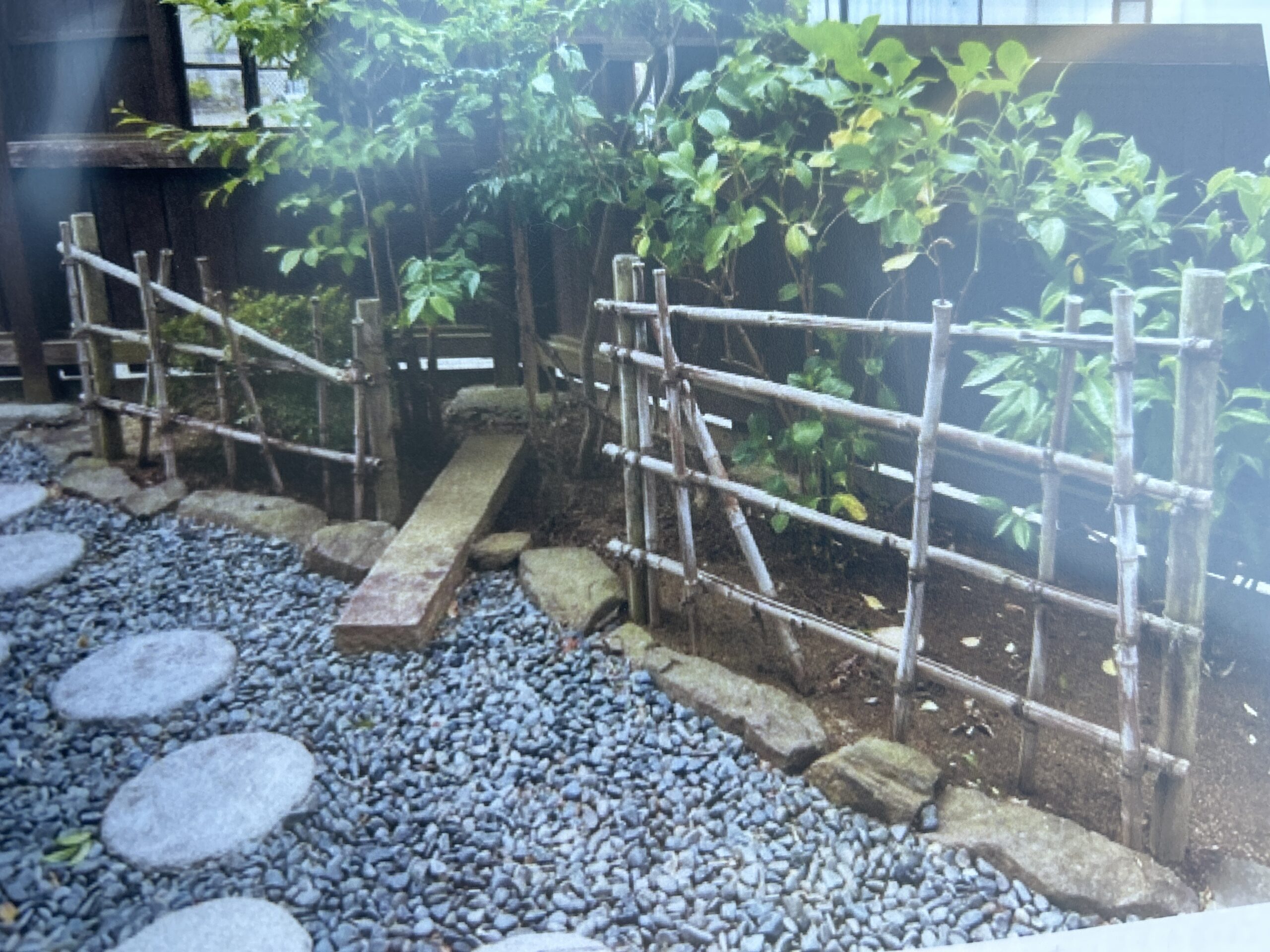 Before画像