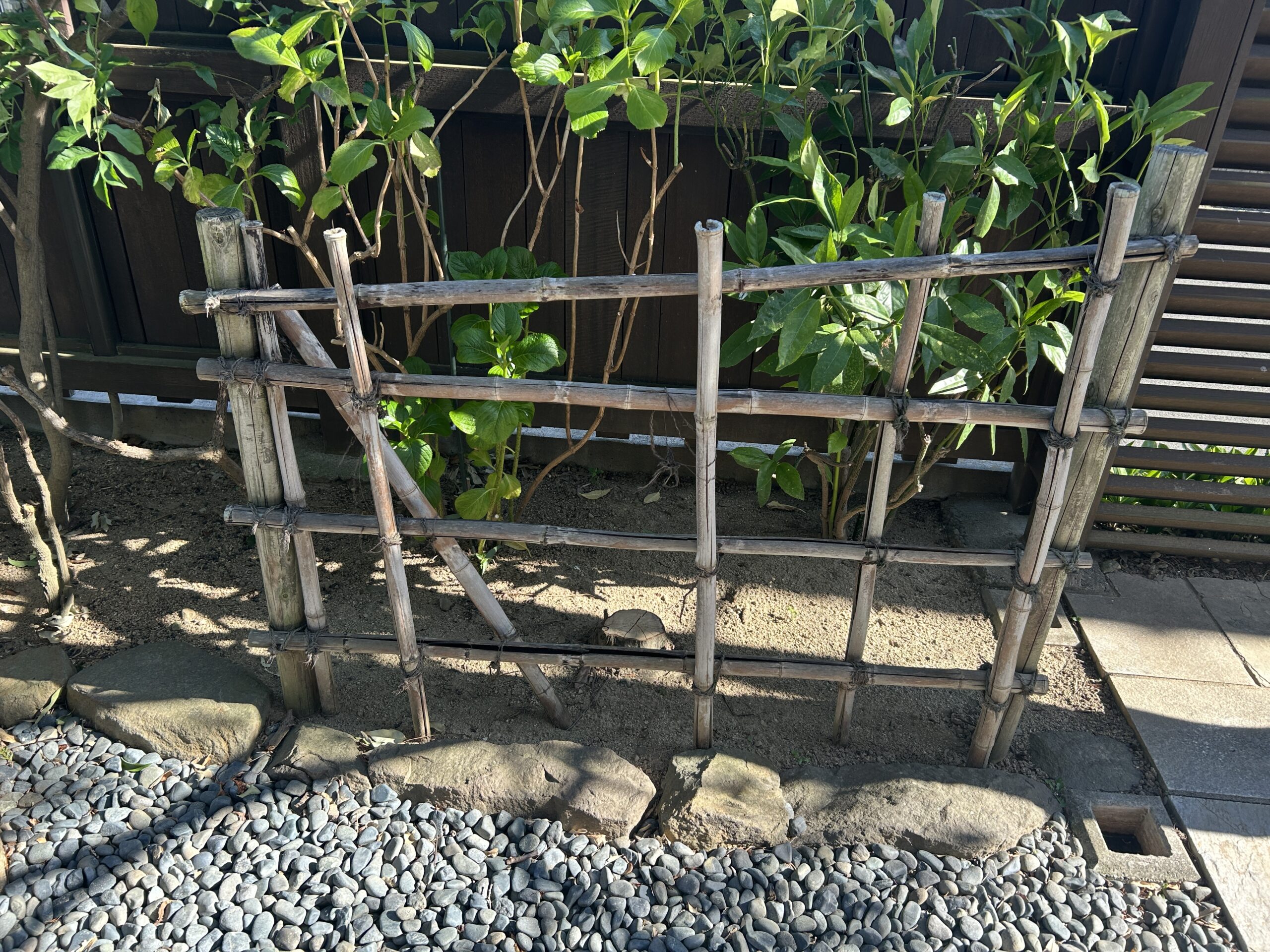 Before画像