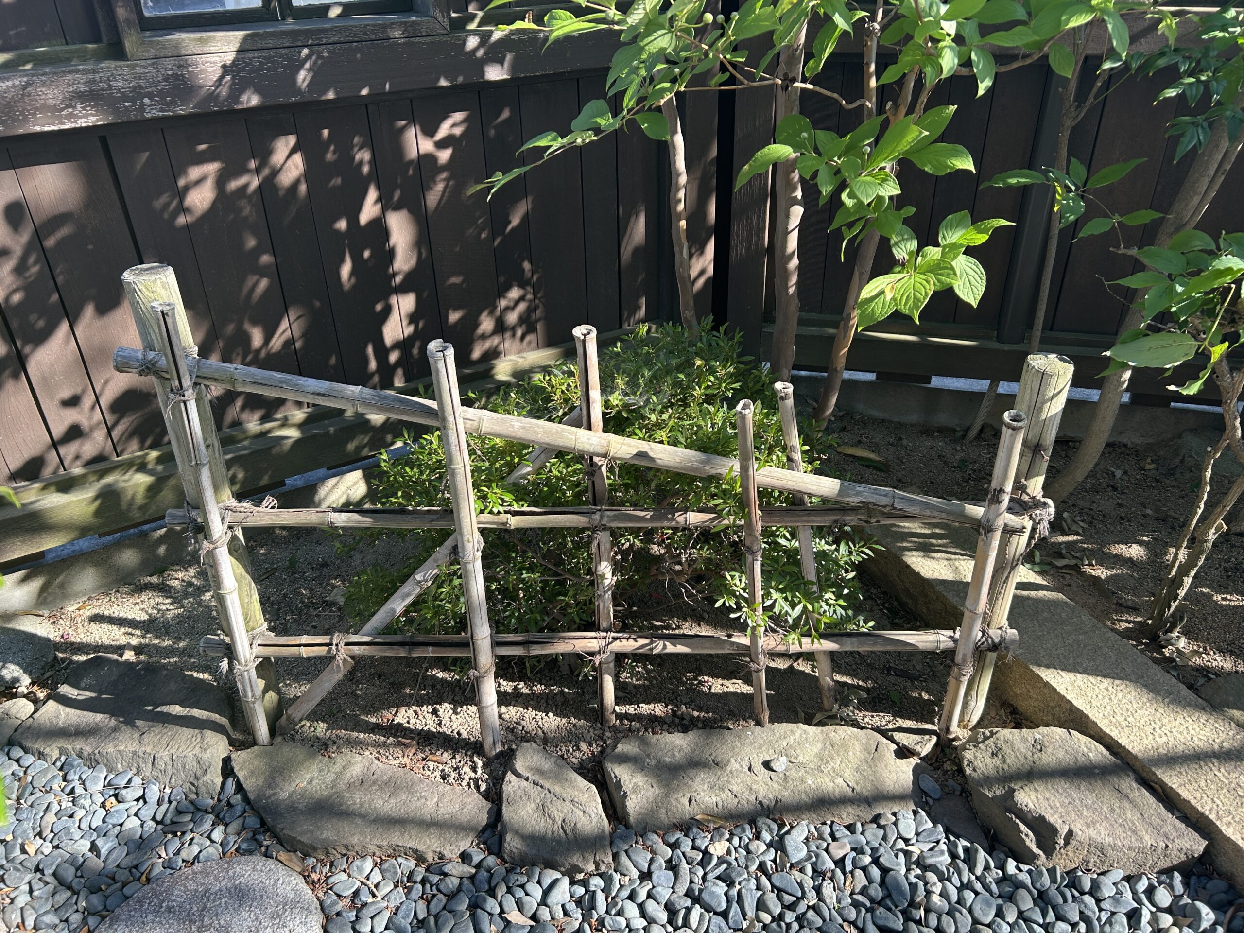 Before画像