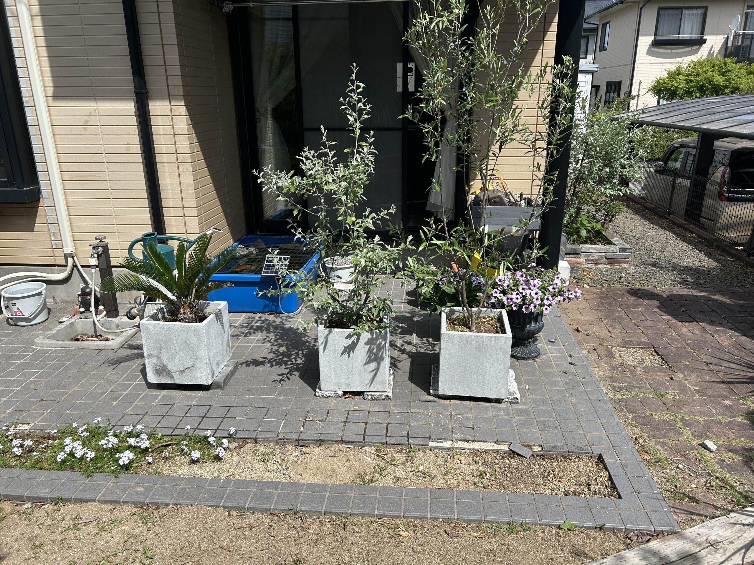 Before画像